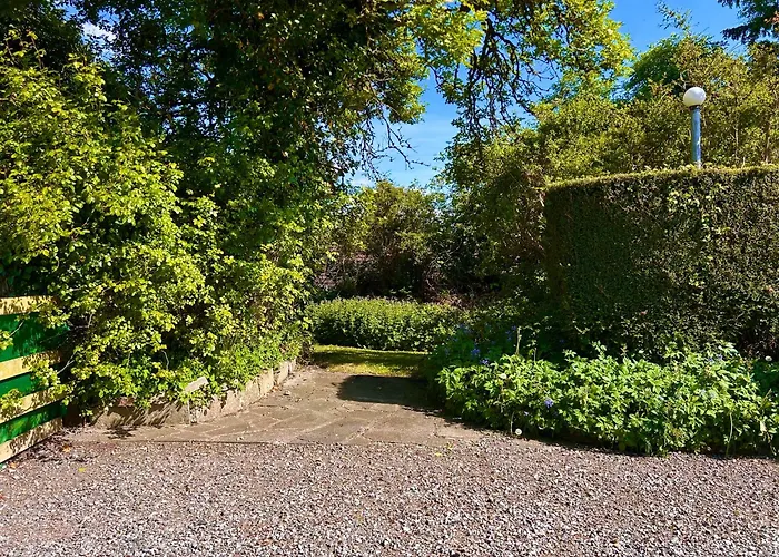 Lime Tree House