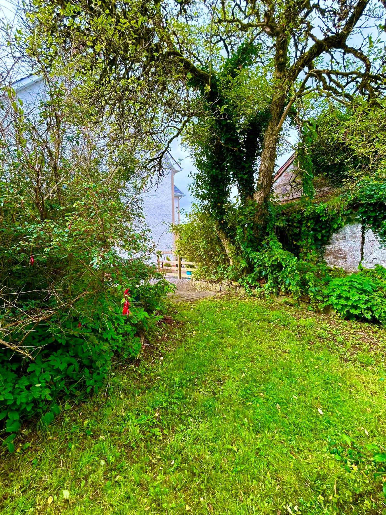 Lime Tree House * Maguires Bridge