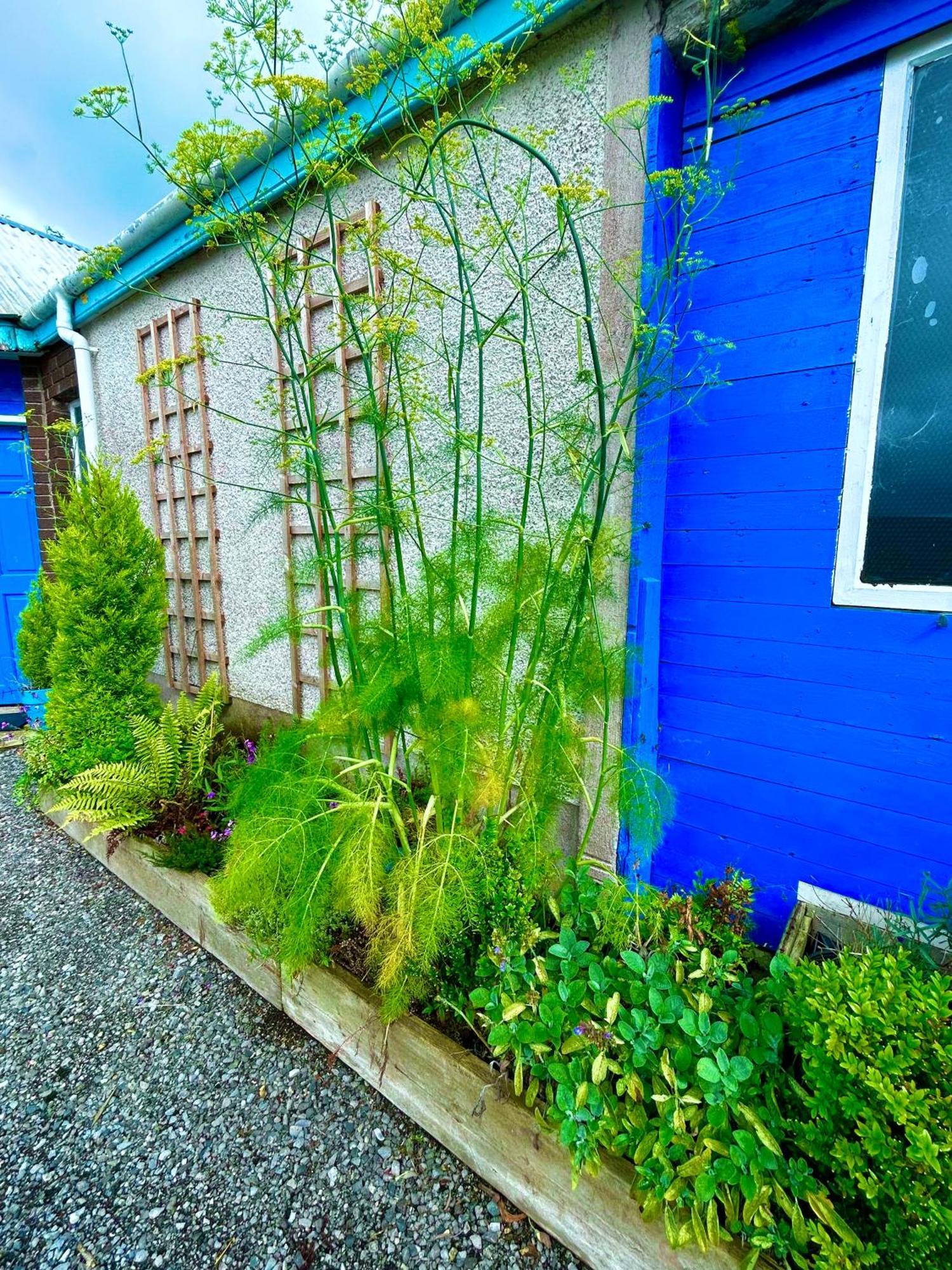 Lime Tree House *